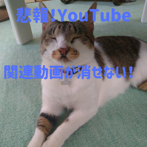 YouTubeの関連動画を消すには?
