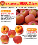 にゃあこ