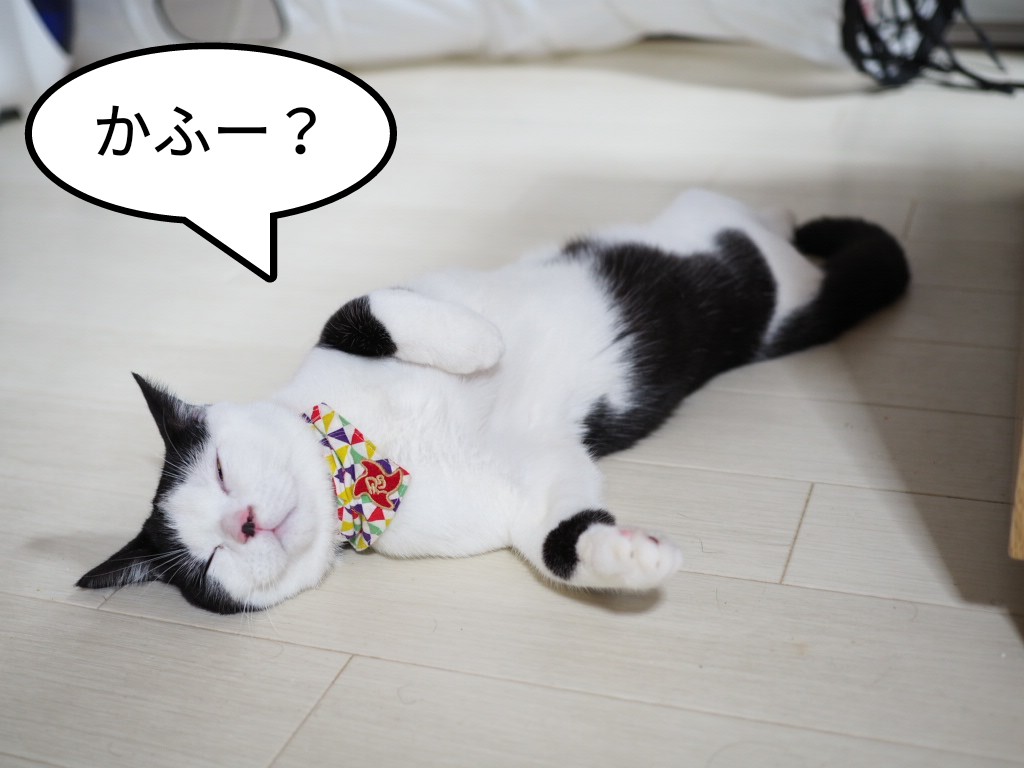 寡婦控除・寡夫控除は年齢制限なし!猫でもわかる税金制度