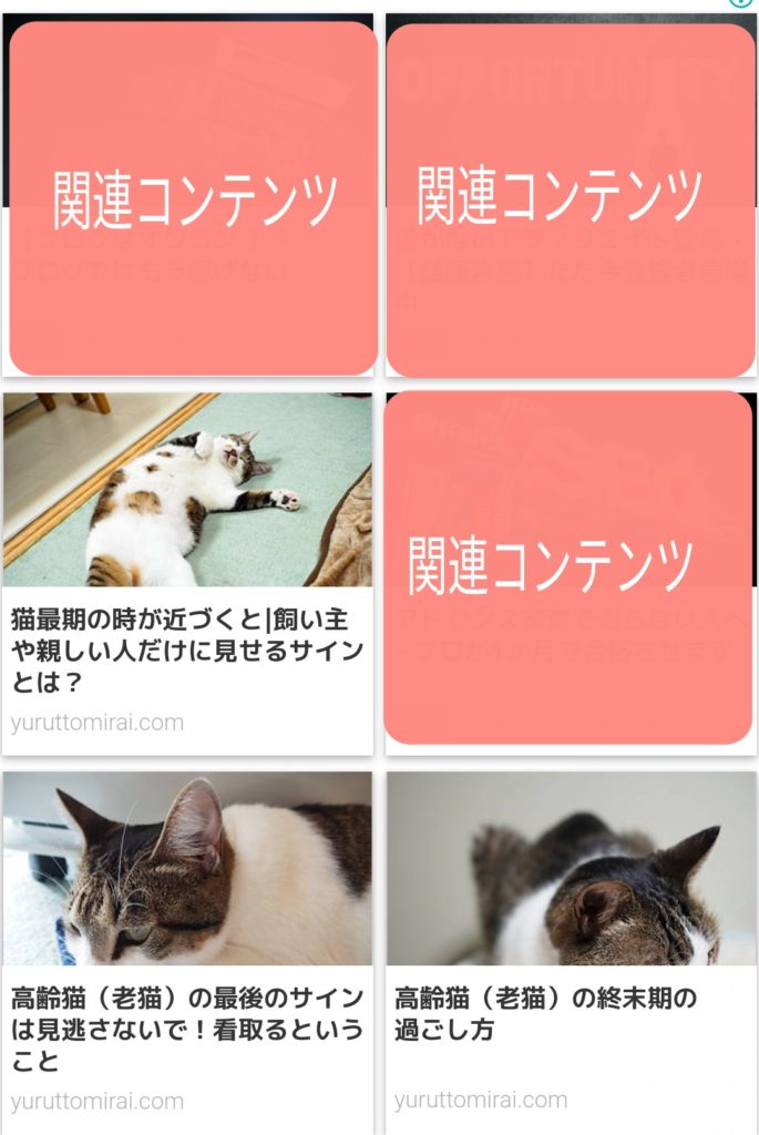 関連コンテンツ
