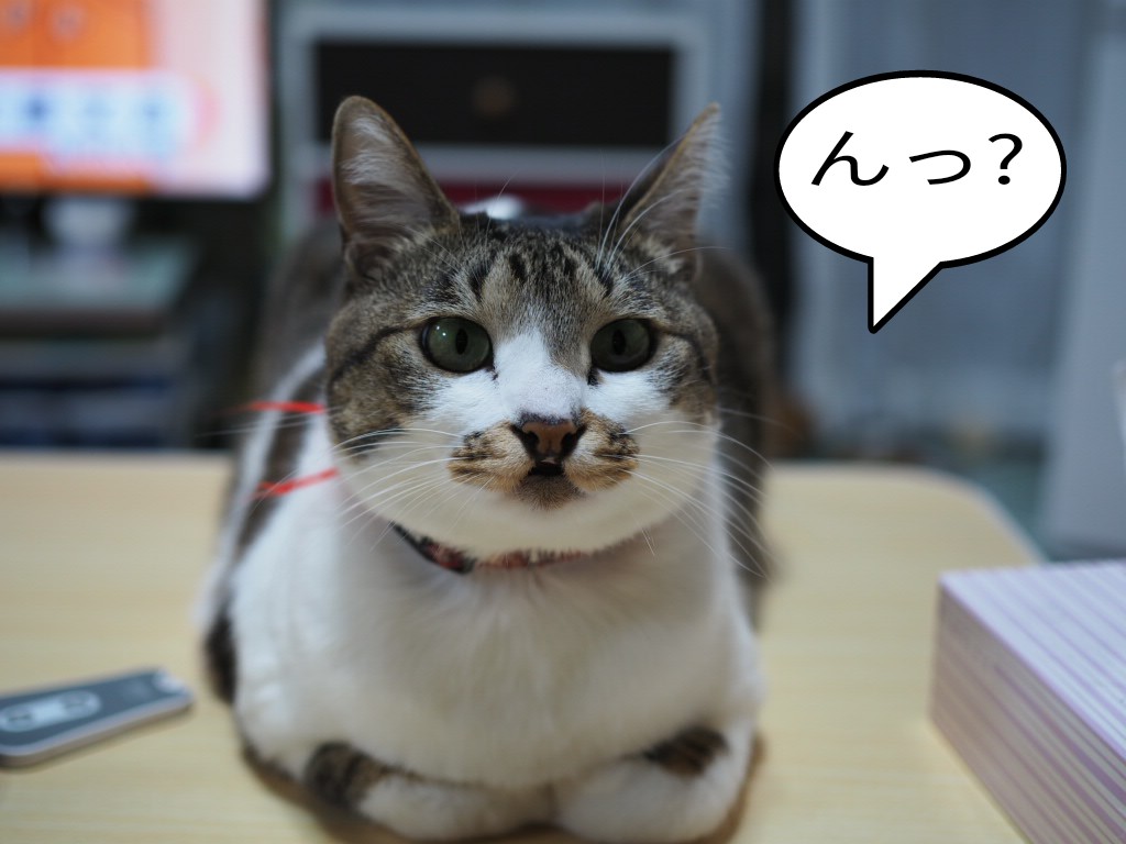 チコちゃん