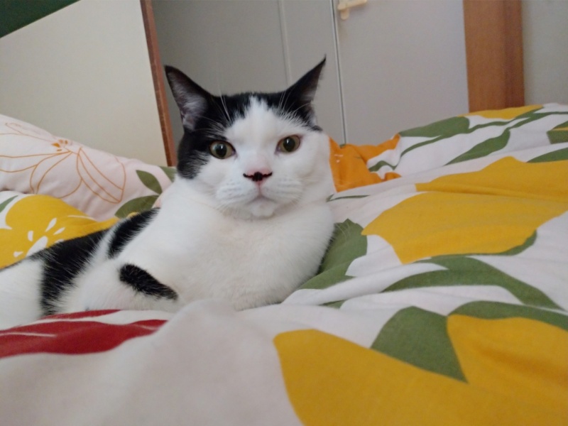 たまちゃん