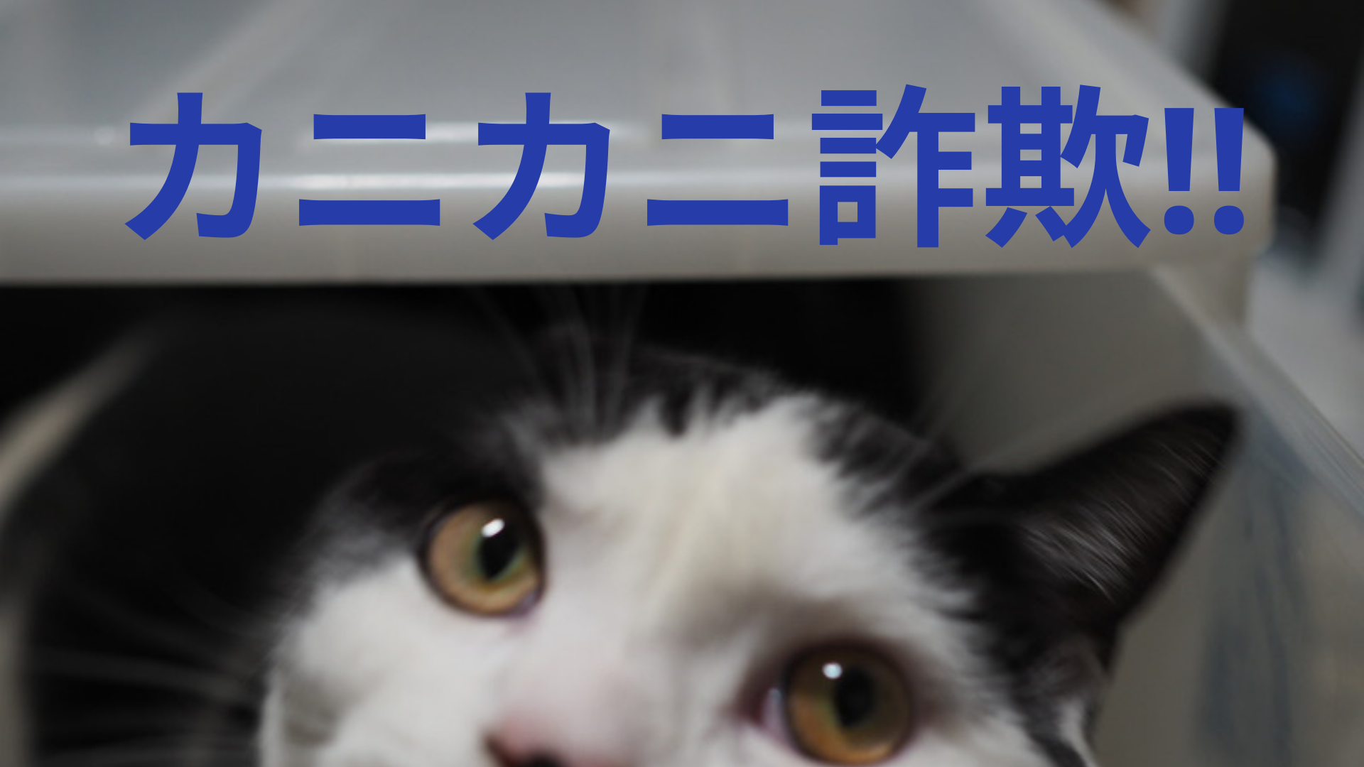 カニカニ詐欺返品できないの?送りつけ商法【リアル詐欺体験談】新型コロナで助けて不審電話多発!