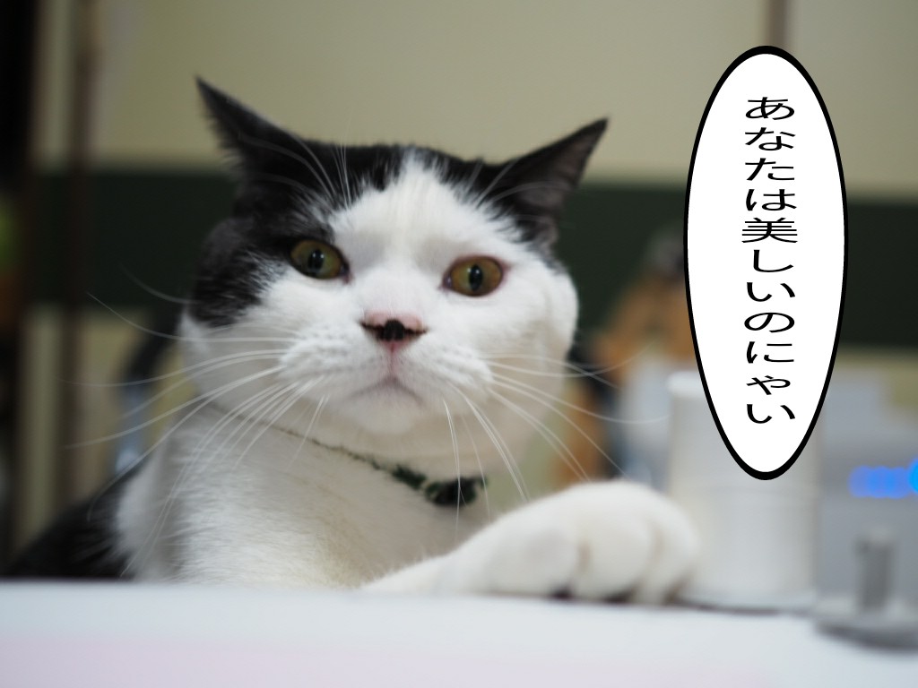 たまちゃん