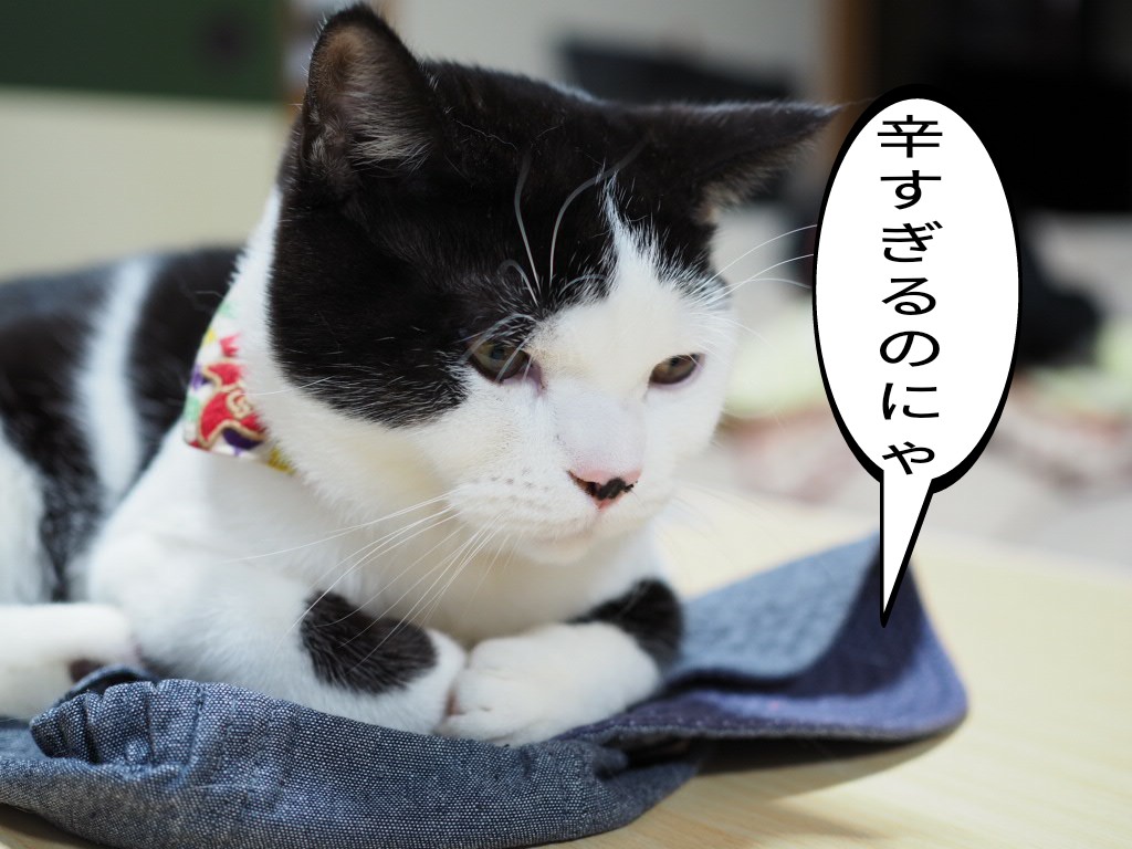 たまちゃんしょんぼり