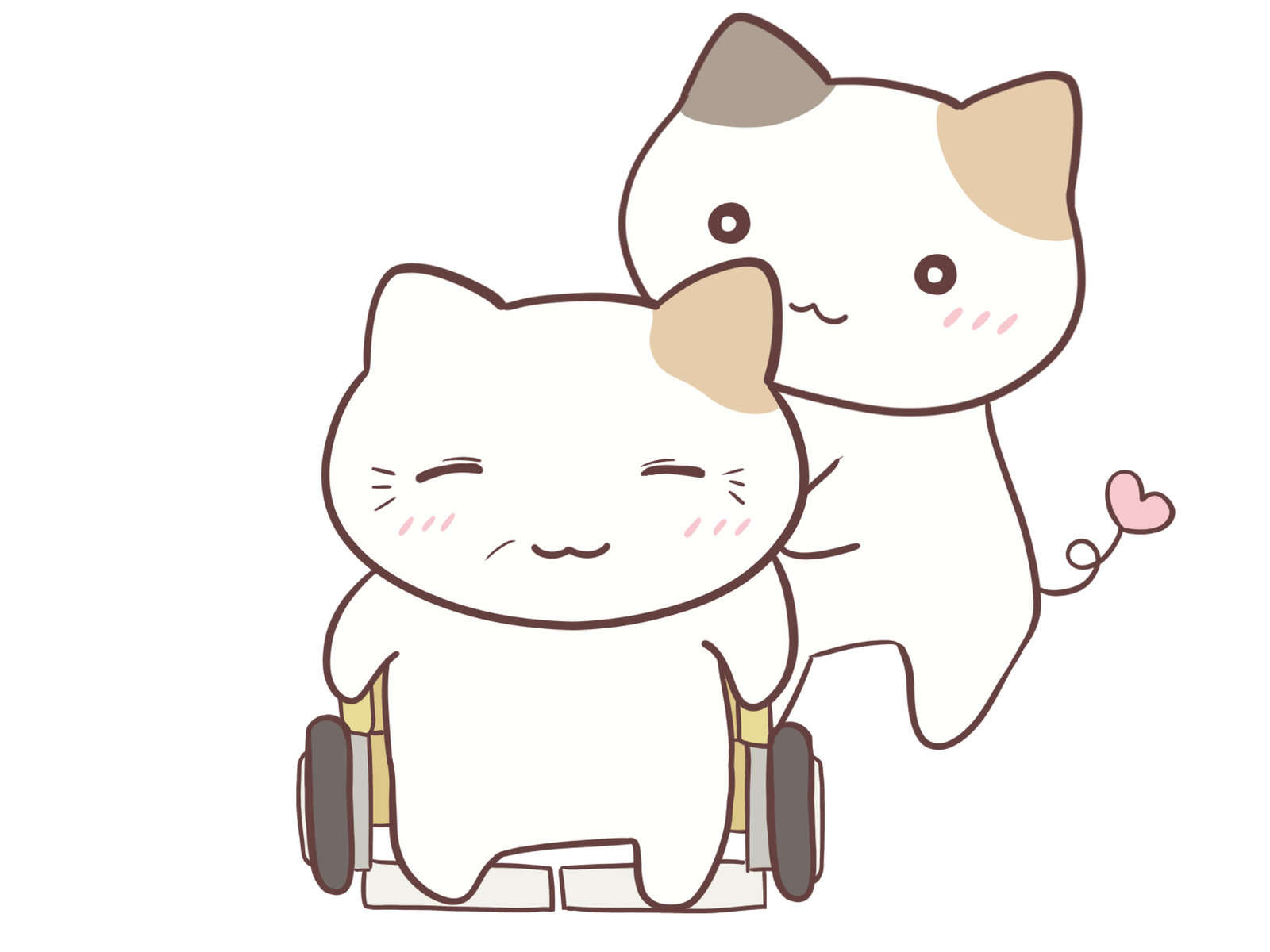 猫の腎臓病とは詳しく解説