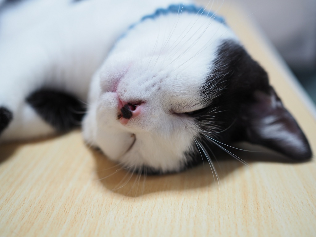 看取りのごはんと向き合うということ