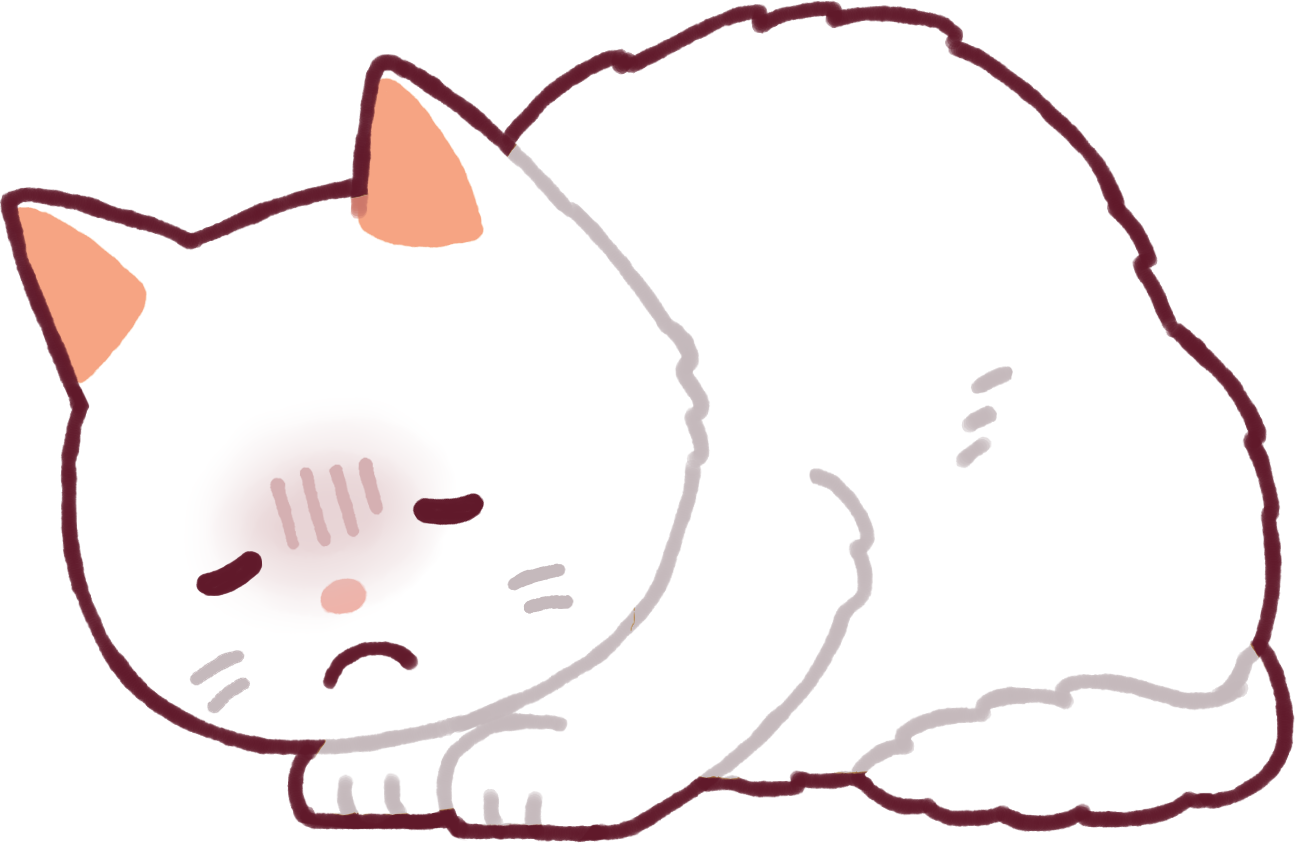 高齢猫の下痢：原因と飼い主がすぐできる対処法